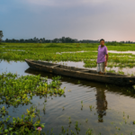 Majuli Travel Guide